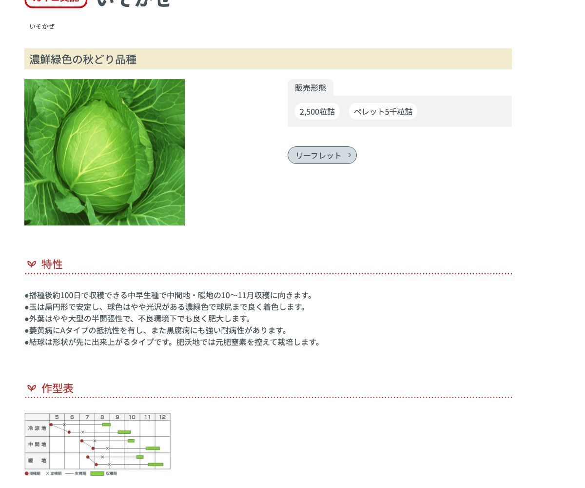 いそかぜ