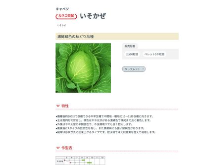 いそかぜの画像