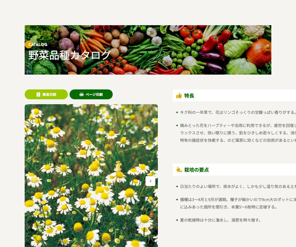 ジャーマンカモミール