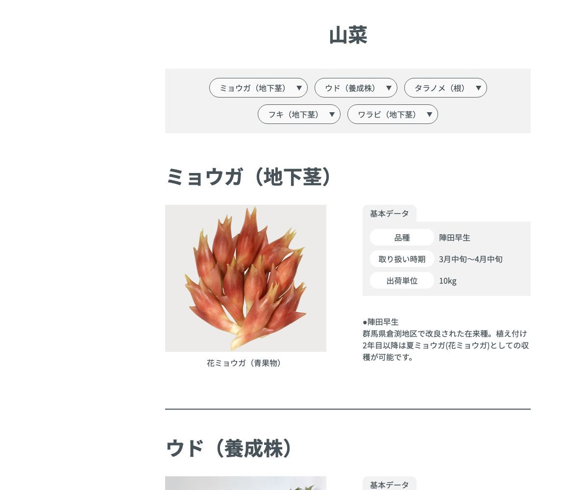 タラノメ（根）