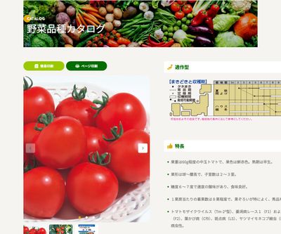 ルイ60の画像