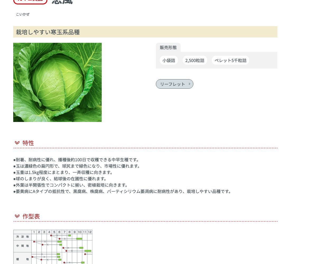 恋風