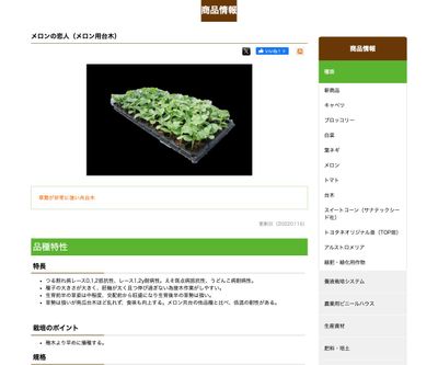 メロンの恋人の画像