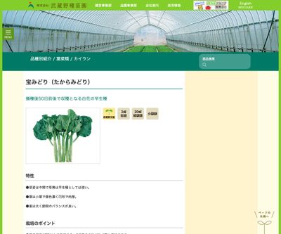 宝みどり（たからみどり）の画像