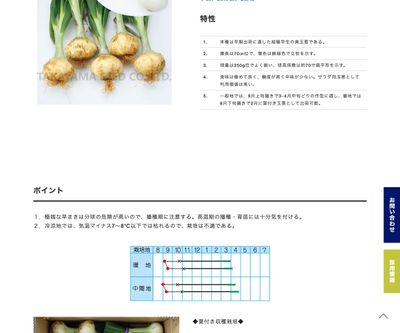 トップゴールド305の画像