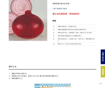 緋蔵っ子の画像