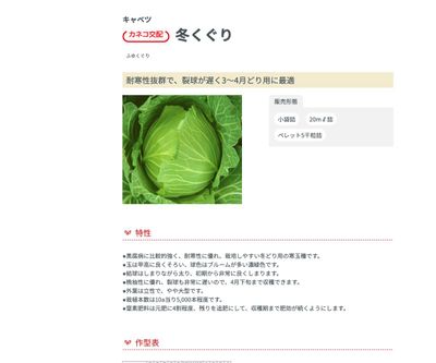 冬くぐりの画像