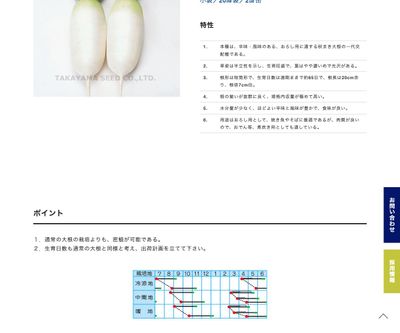 ミニピタの画像