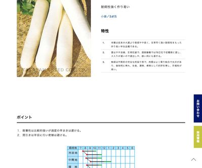 高農早生大蔵の画像