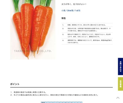 紅光五寸人参の画像