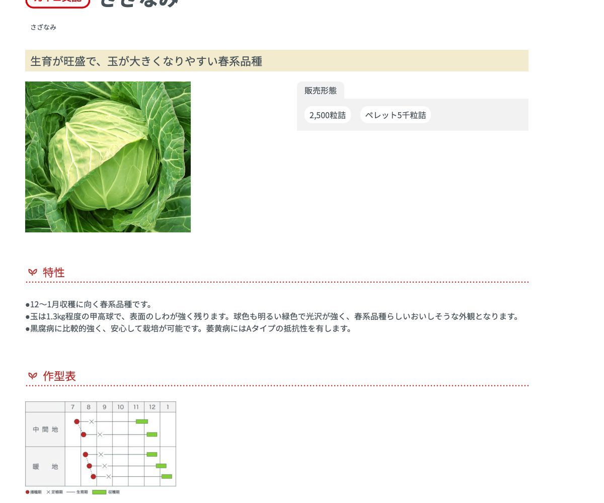 さざなみ