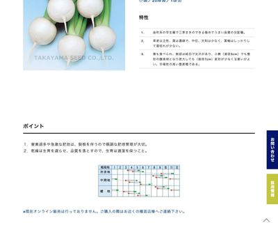 つやひめ蕪の画像
