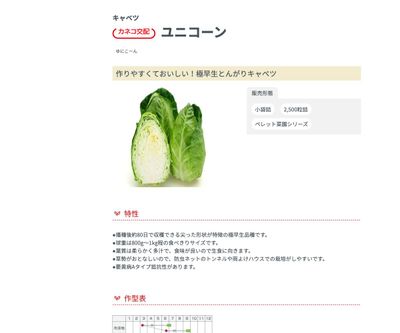 ユニコーンの画像