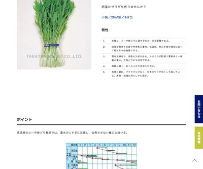 四季細菜の画像