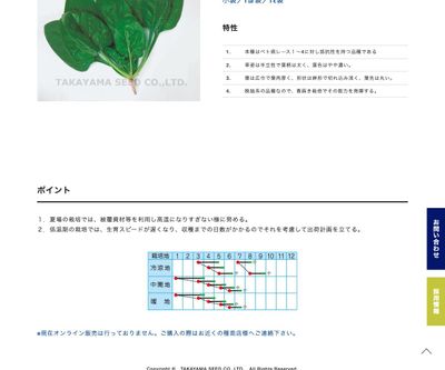 晩抽スタミナの画像