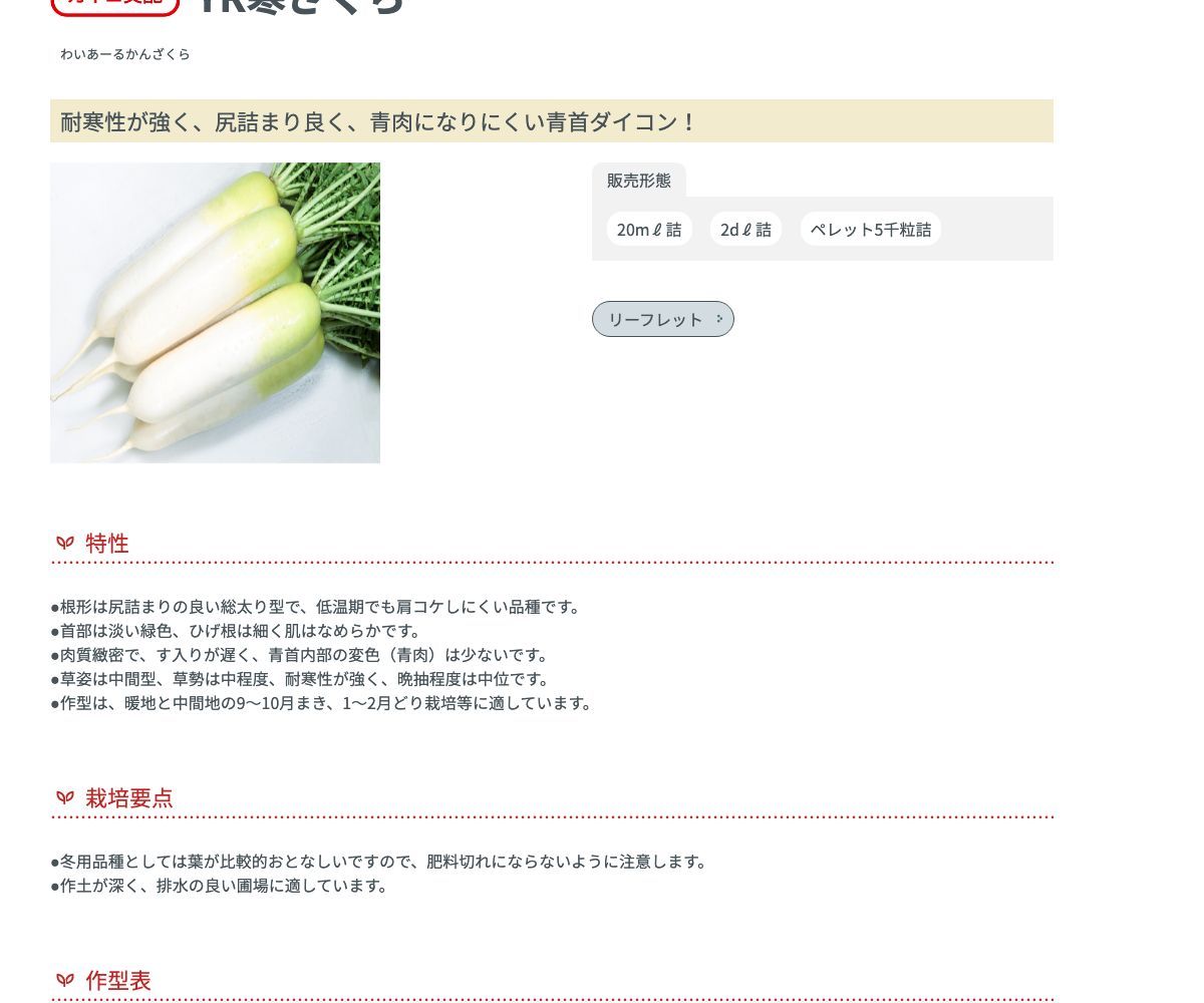 YR寒ざくら