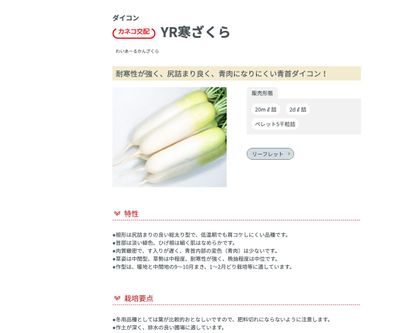 YR寒ざくらの画像