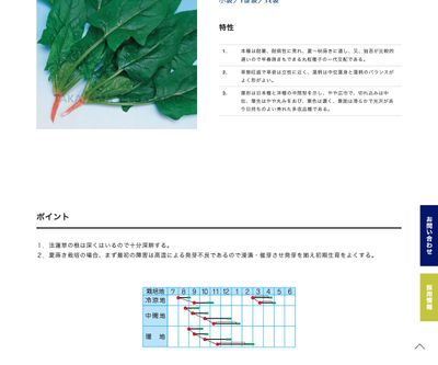 ダイナマイトの画像