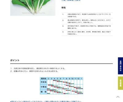 びはく菜の画像