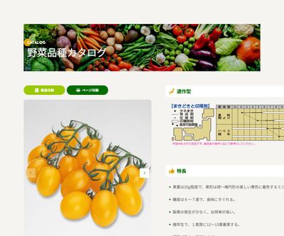 イエローピコの画像