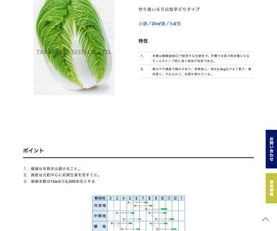 強力六十日の画像