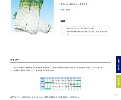 高農白長葱の画像