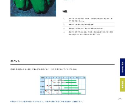 高農カリフォルニアワンダーの画像