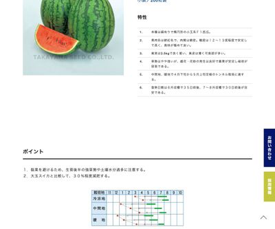 恋あかねの画像