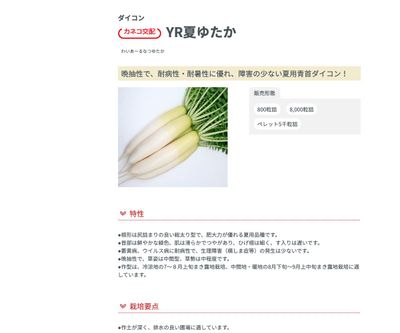 YR夏ゆたかの画像