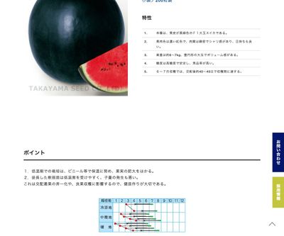 ブラックボス黒皮大玉の画像