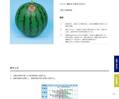 大文字三号の画像