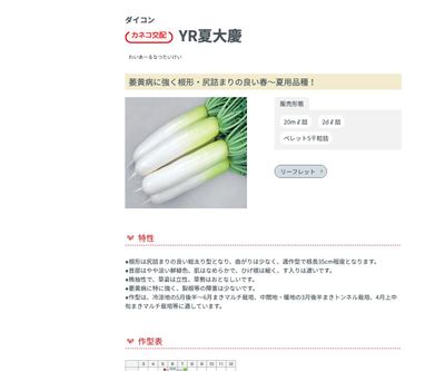 YR夏大慶の画像