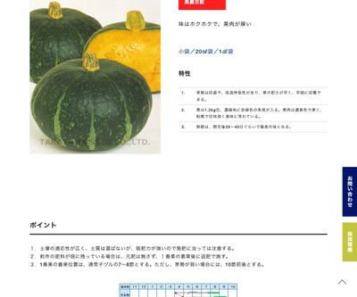 七福南瓜の画像