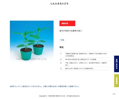 新土佐A号南瓜の画像