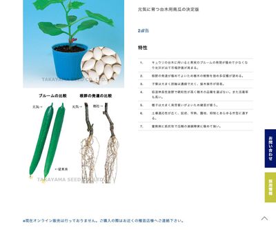 元気南瓜の画像