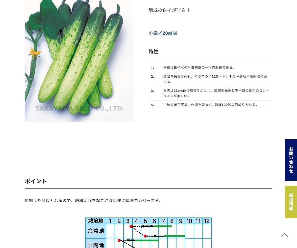 F1半白節成胡瓜