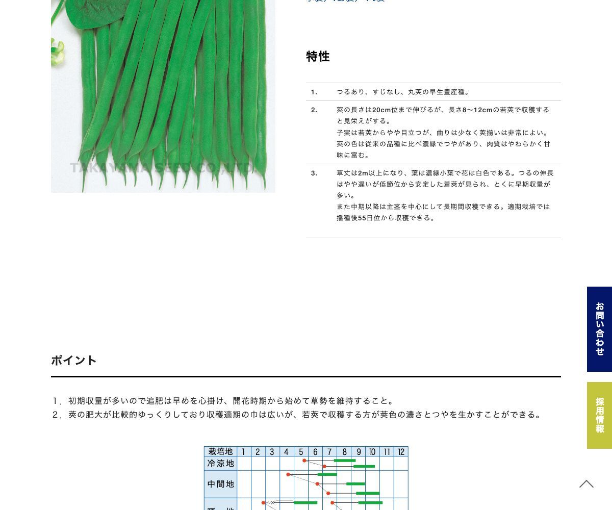 カンサス【ケンタッキータイプ】
