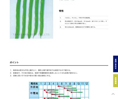 ファンシー菜豆の画像