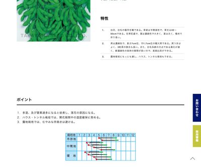 ビッグスリーの画像