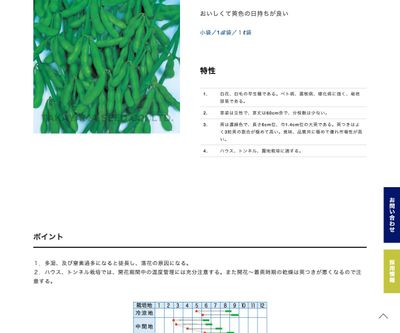 改良系夏の友の画像