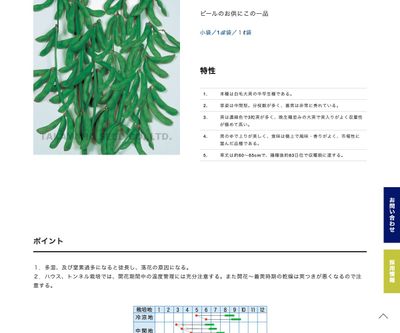 夏の語らいの画像