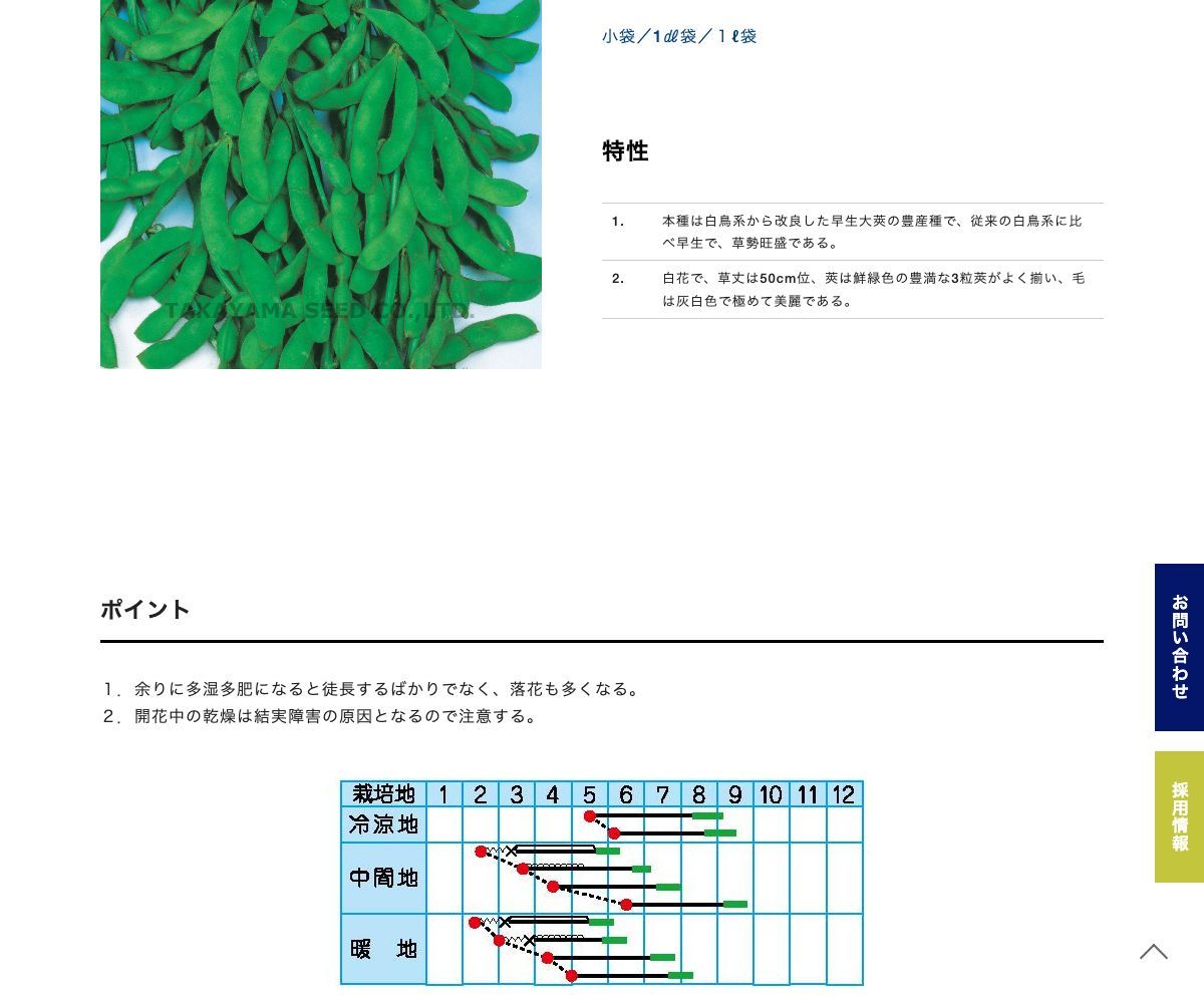 グリーンホーマー