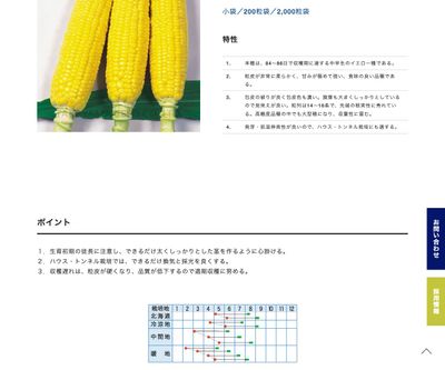 味なコーンの画像