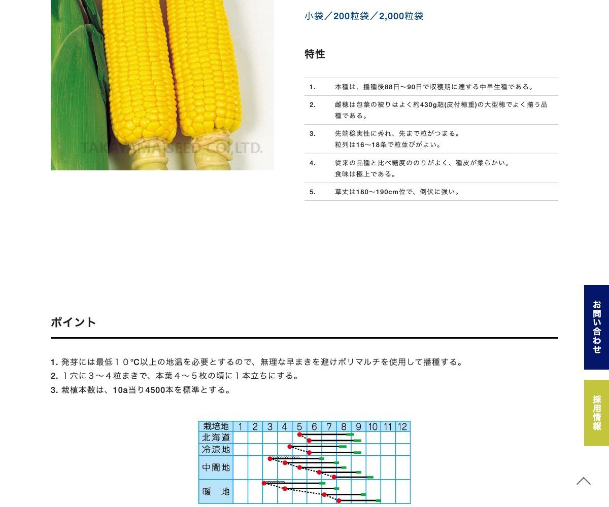 サマーテイストEX