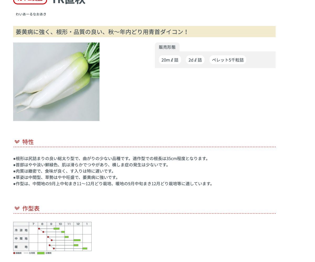 YR直秋