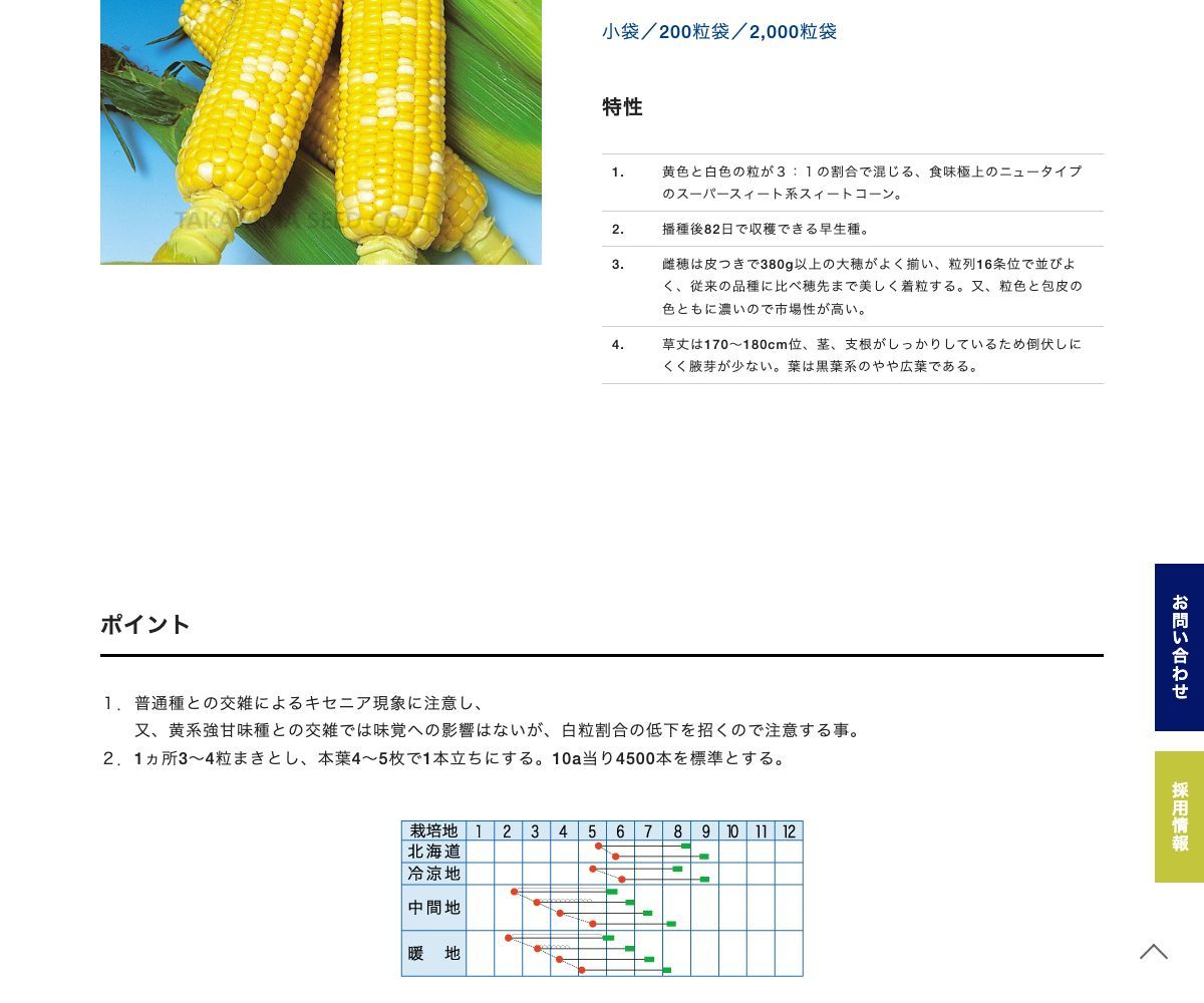 早生フィーバー82