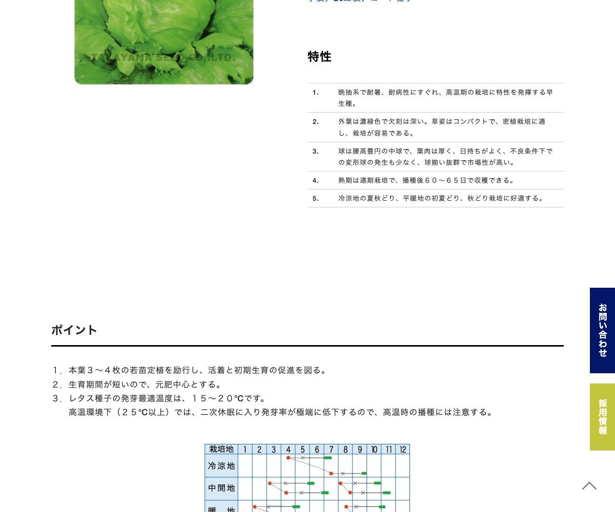 サマーベストEX