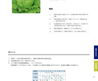 サマーベストEXの画像