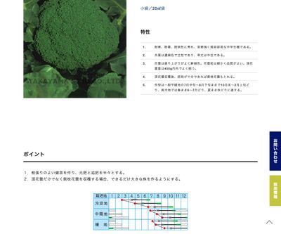 ネオグリーンの画像