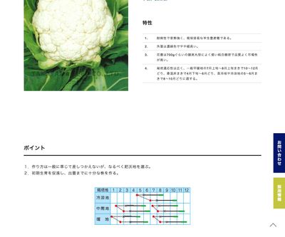 ネオホワイトの画像